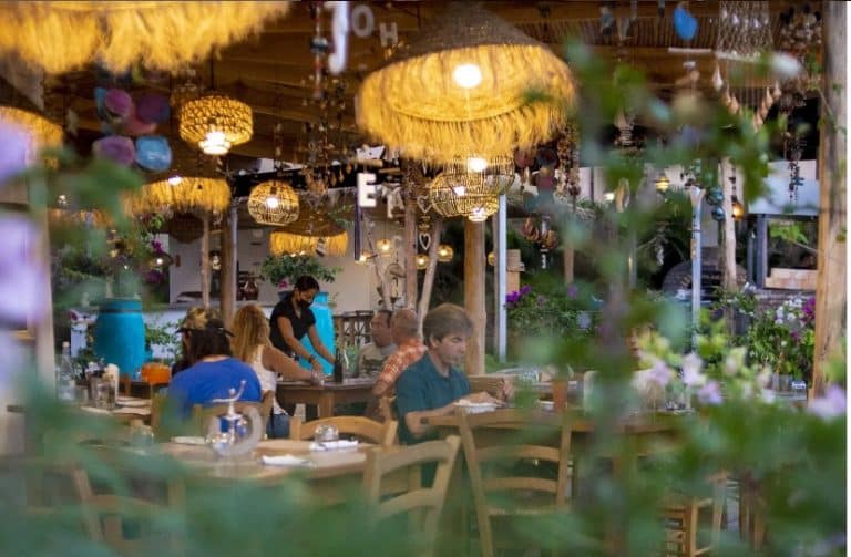 Invertir en Un Paraíso Culinario: Cómo El Santuario Food Court Puede Transformar Tu Negocio